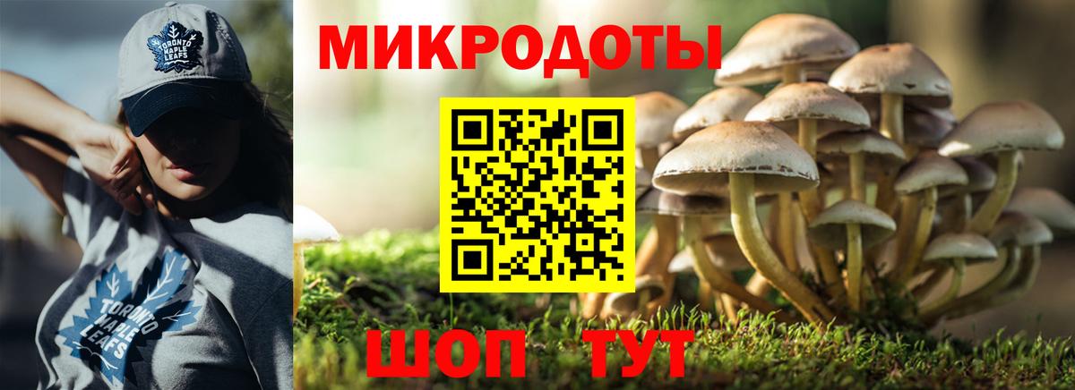 Псилоцибиновые грибы Cubensis Лениногорск