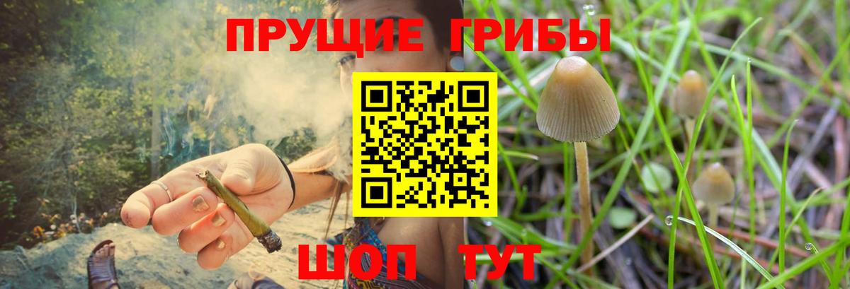 Лениногорск  Псилоцибиновые грибы ЛСД  Псилоцибиновые грибы MAGIC MUSHROOMS  Вход с VPN 